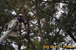 Entergy 048